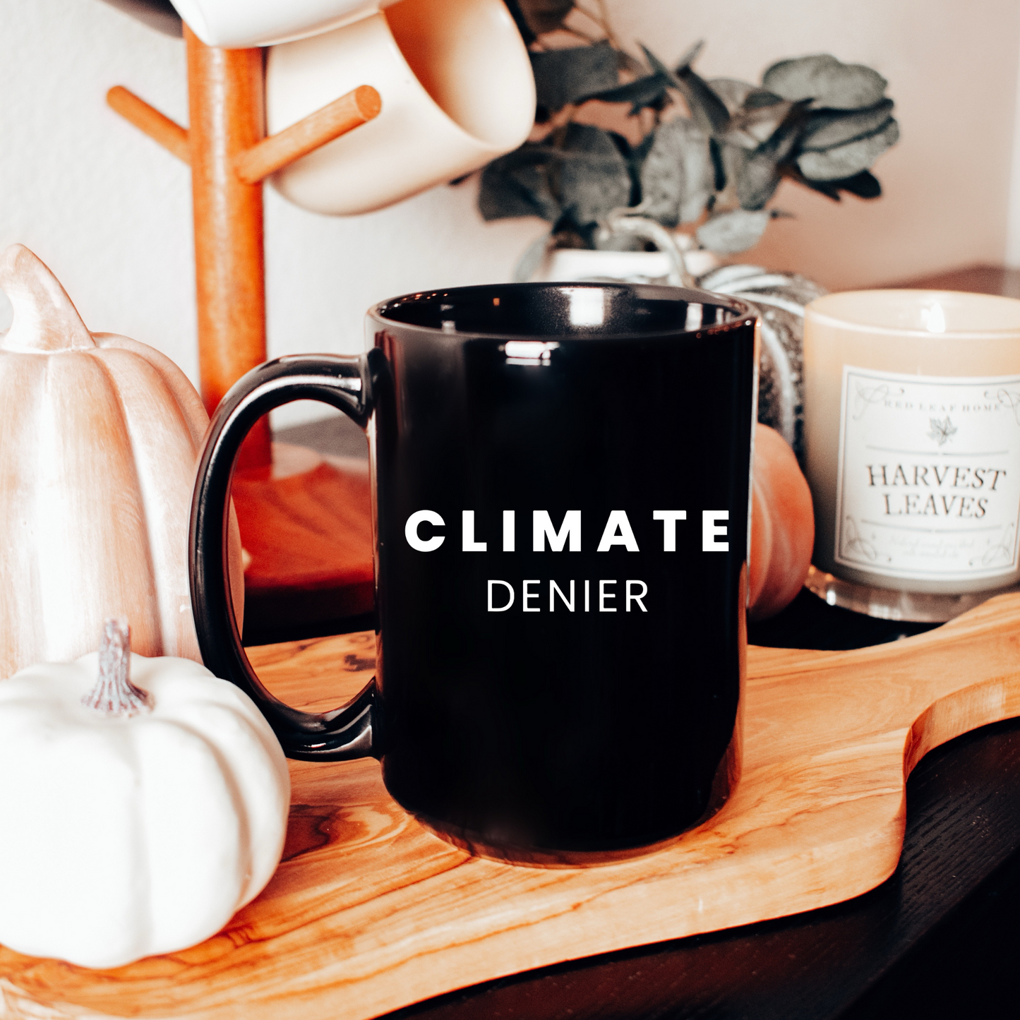 Climate Denier - Black Glossy Mug