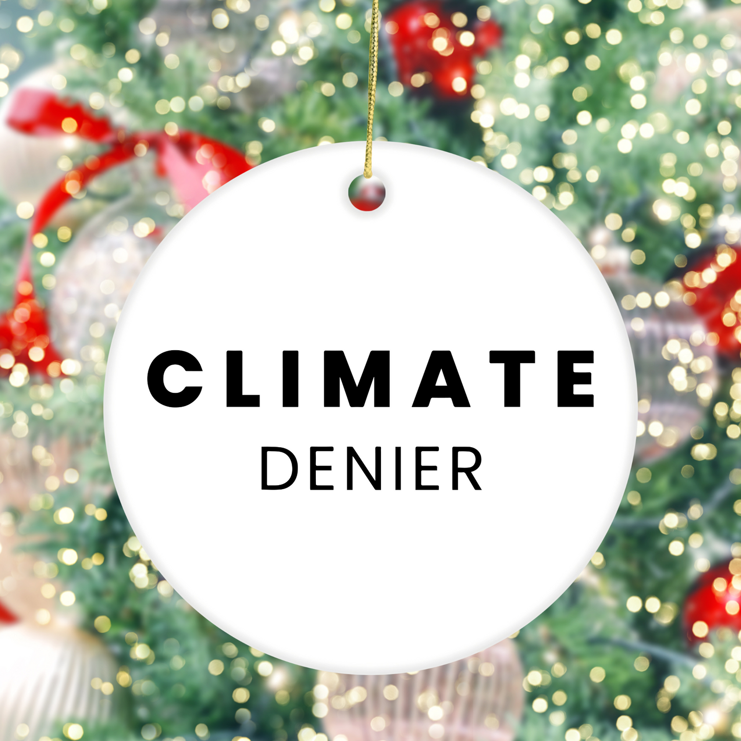 Climate Denier - Ceramic Ornament